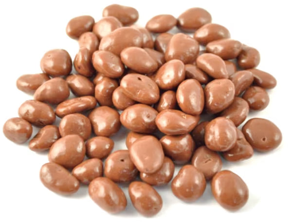 Chocolate Covered Raisins